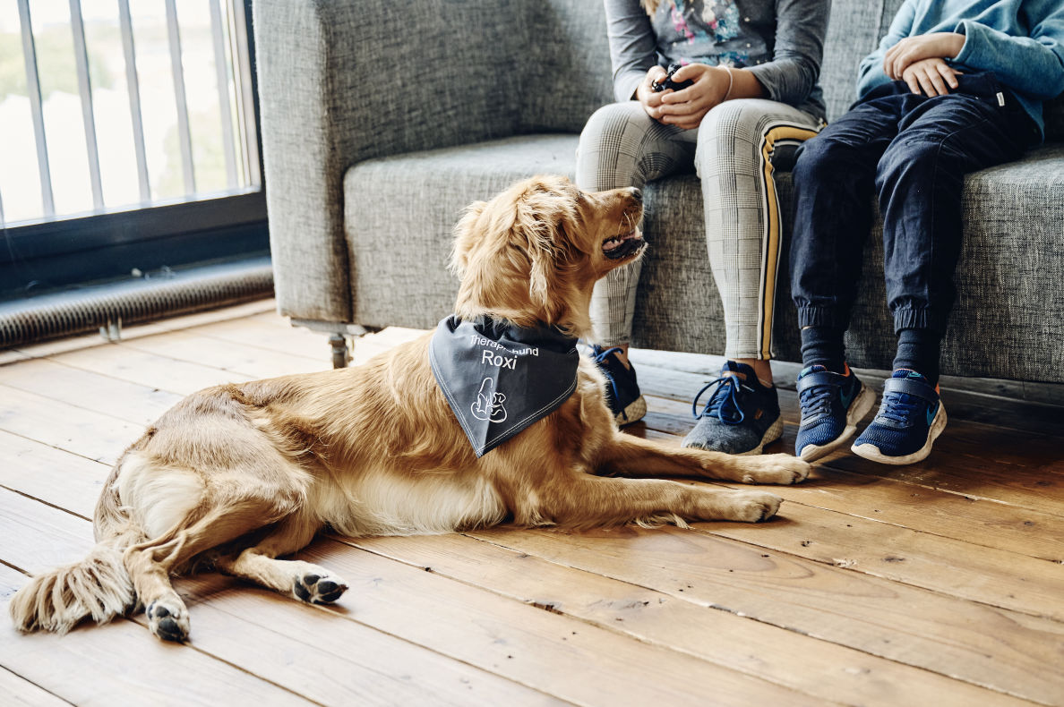  Der größte Unterschied besteht darin, dass ein Therapiehund passiv oder aktiv die Behandlung unterstützt. 