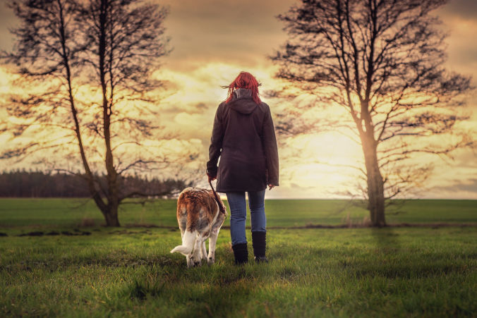 Spaziergang mit einem Hund in sonniger Herbststimmung